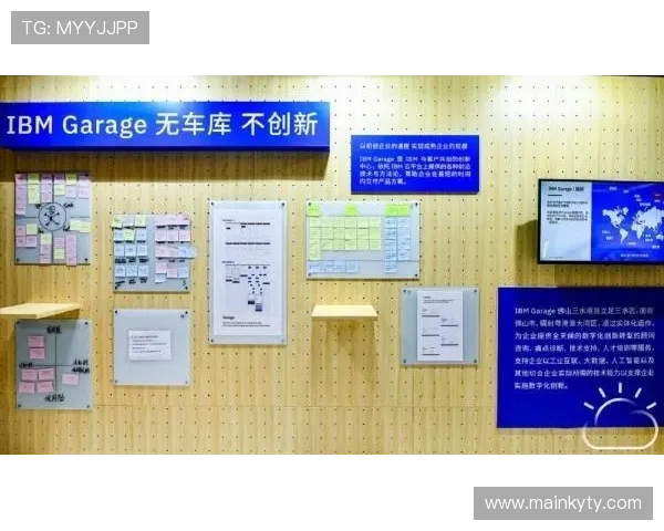 开云投资助力企业实现快速增长的全面策略与实用指南