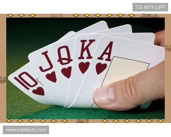 开云体育备用平台使用指南帮助新手快速上手提升游戏体验的实用技巧