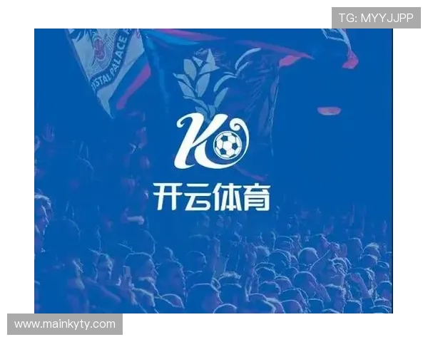 开云完美体育真人游戏如何选择最佳投注策略，提升赢面实现稳定盈利的实用技巧
