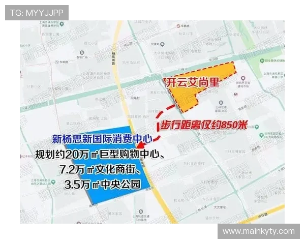 开云Kaiyun棋牌官方攻略大全，全面解析游戏规则与技巧提升你的胜率